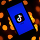 Illustration for article titled New Senate Bill Doesnt Want Federal Employees Doing the #FlipTheSwitch Challenge, Would Ban TikTok on Work Phones